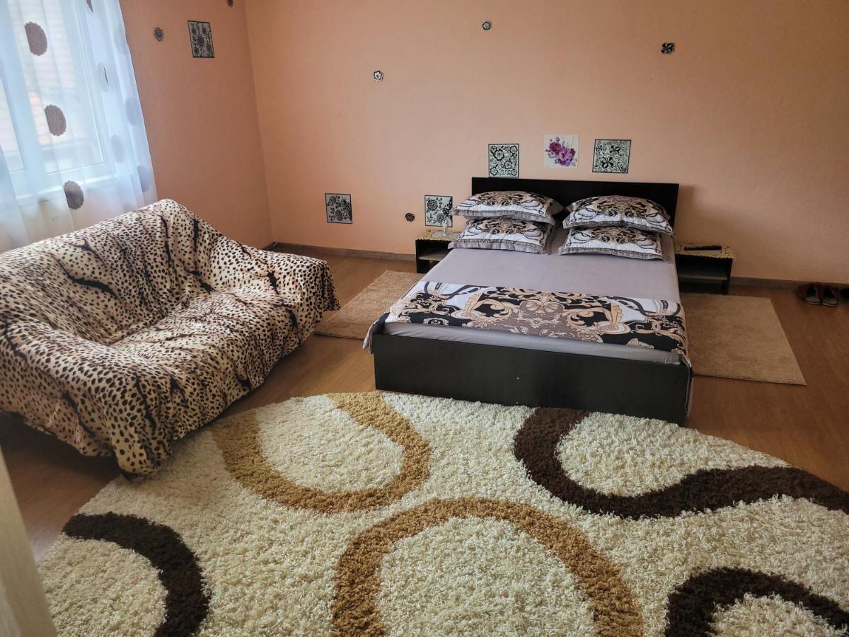 Vila La Izvorul Putinei Haţeg Esterno foto