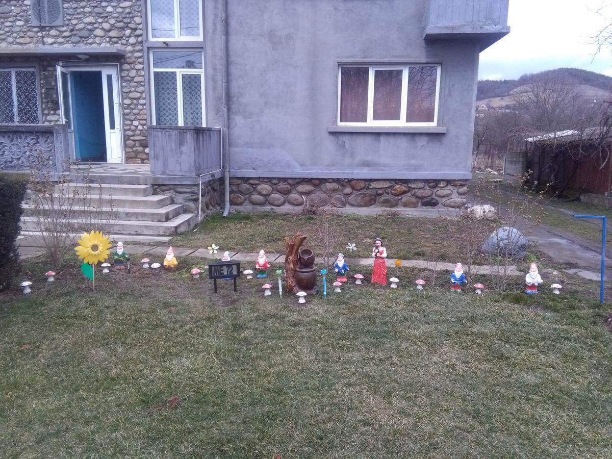 Vila La Izvorul Putinei Haţeg Esterno foto