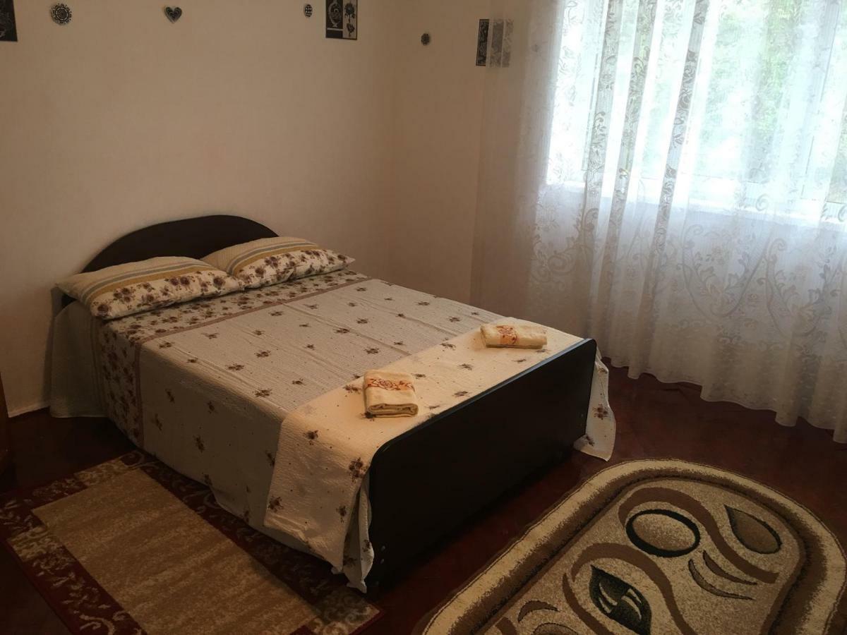 Vila La Izvorul Putinei Haţeg Esterno foto